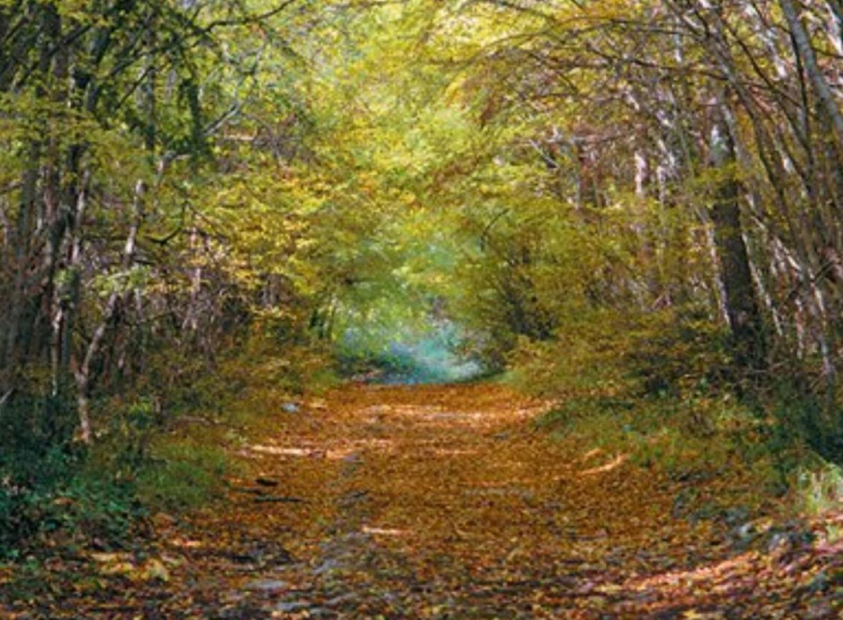 Kaiserwald بولا المظهر الخارجي الصورة