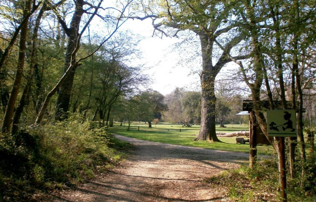 Kaiserwald بولا المظهر الخارجي الصورة